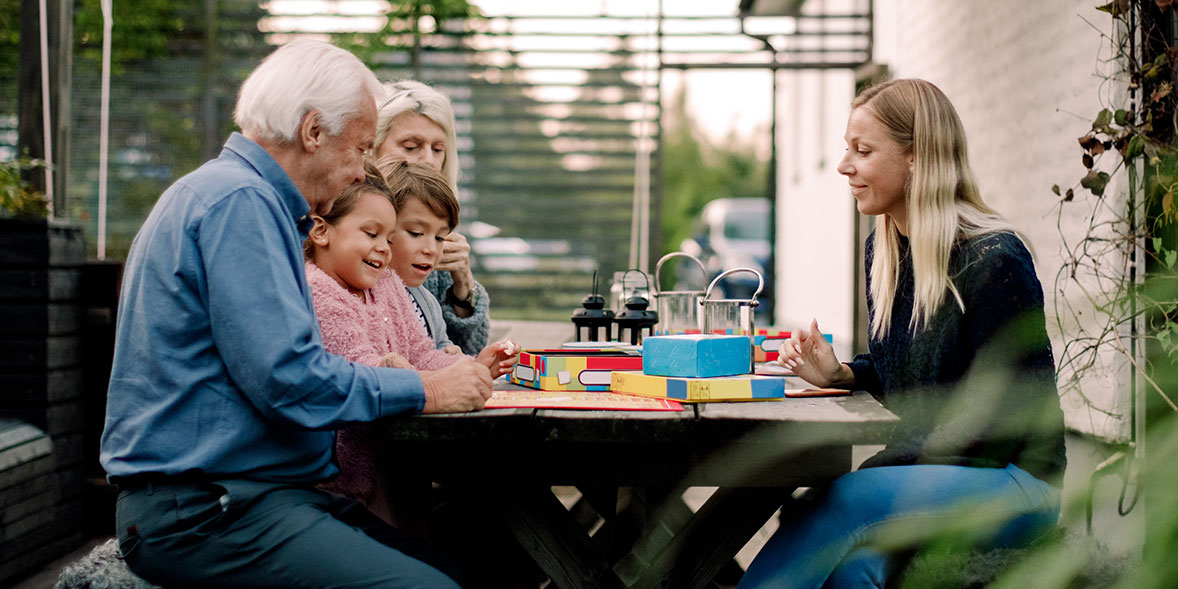 Spellenhuis Winkel -Spellenhuis Winkel c0317bfdfcc7 boardgames lead